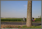 59 Landschap